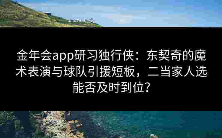 金年会app研习独行侠：东契奇的魔术表演与球队引援短板，二当家人选能否及时到位？